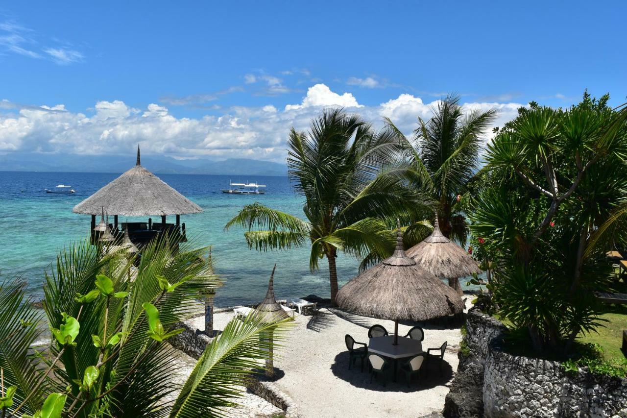Dolphin House Resort Moalboal Exterior photo