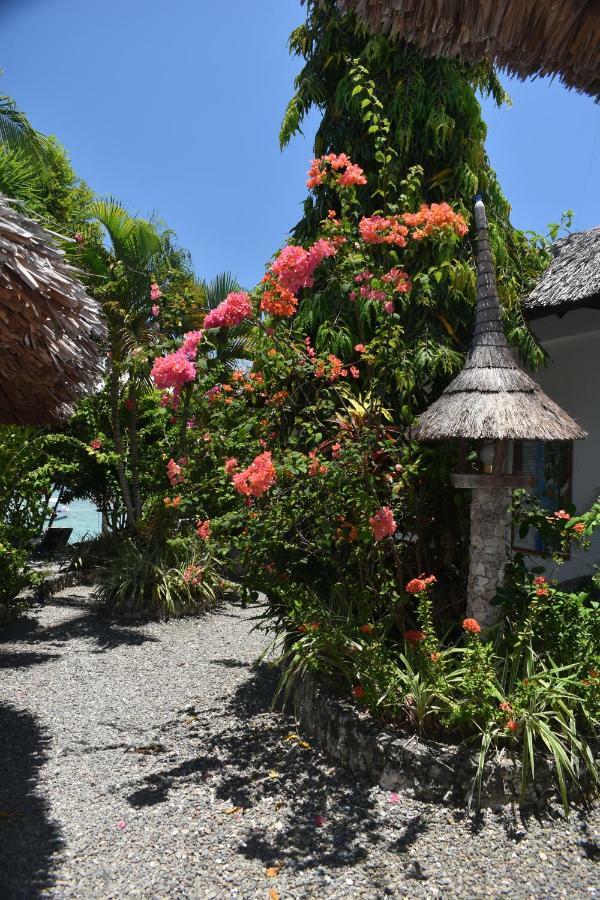 Dolphin House Resort Moalboal Exterior photo