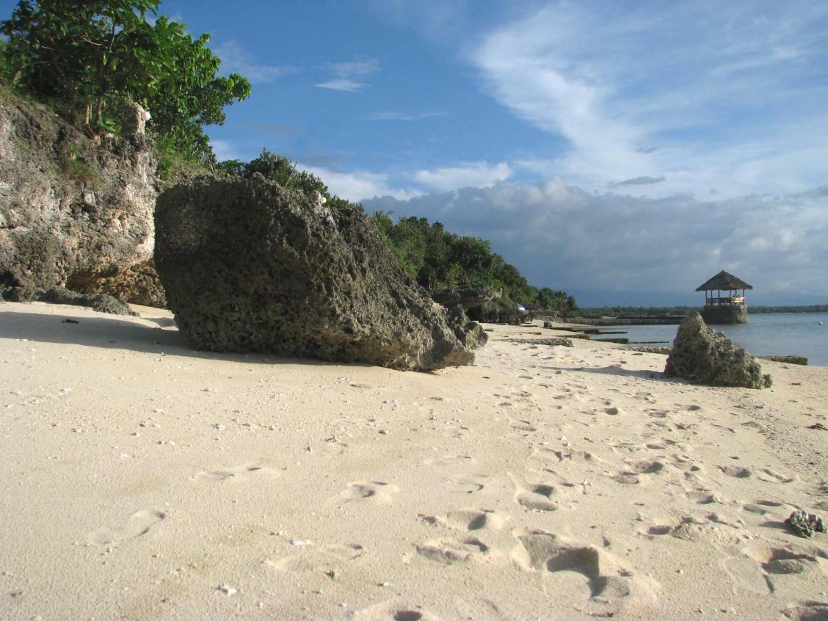 Dolphin House Resort Moalboal Exterior photo