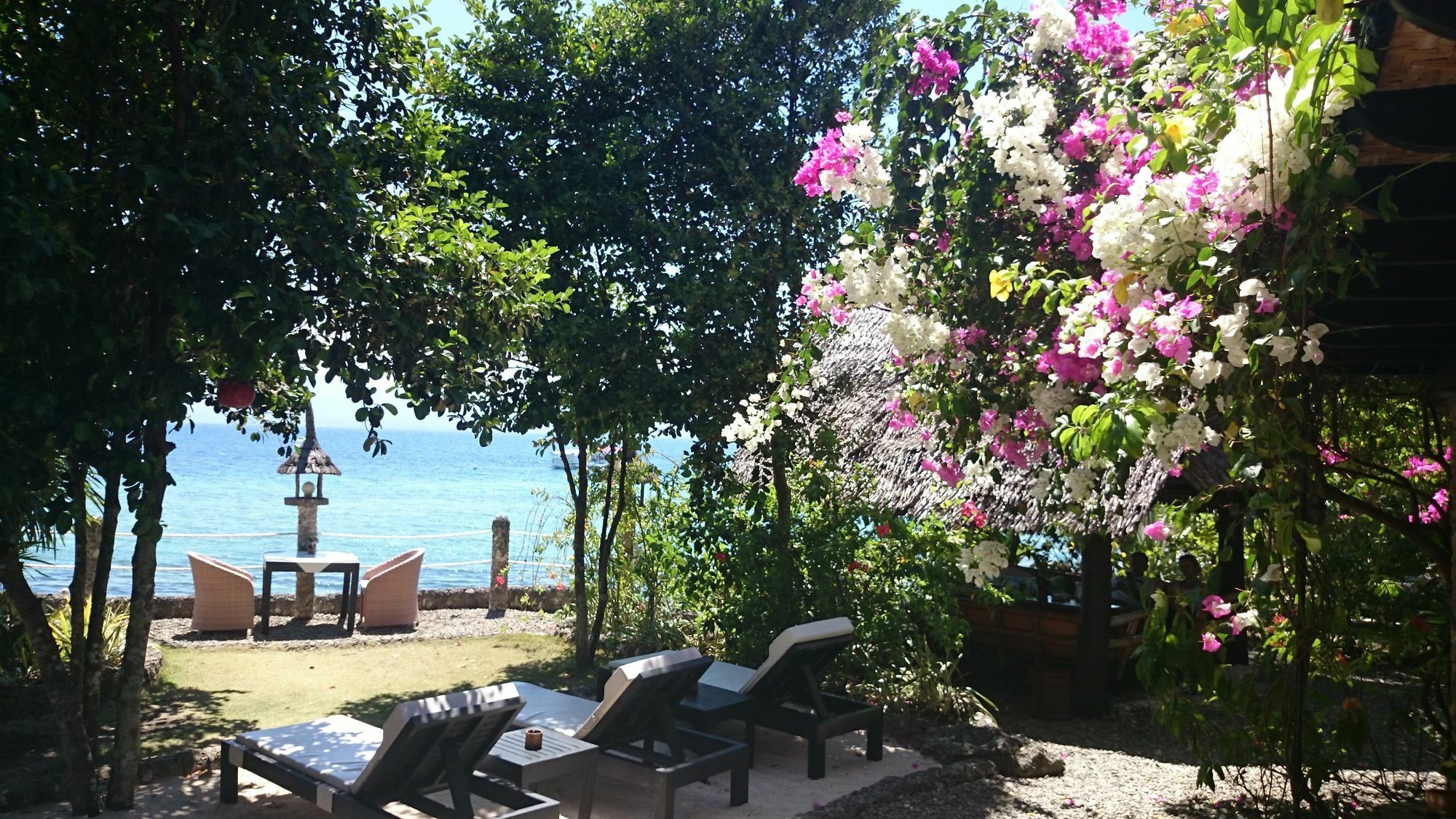 Dolphin House Resort Moalboal Exterior photo
